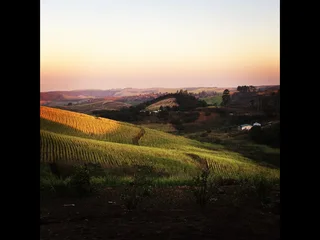 6ha farm - 3 dwellings, sugarcane plantations & strong borehole