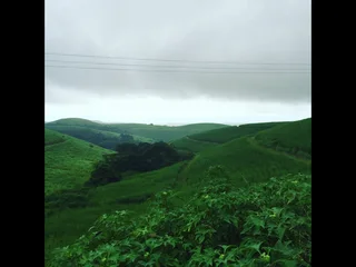 6ha farm - 3 dwellings, sugarcane plantations &amp; strong borehole