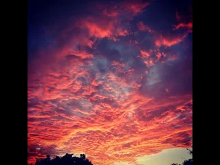 6ha farm - 3 dwellings, sugarcane plantations &amp; strong borehole