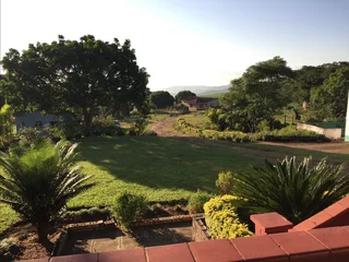 6ha farm - 3 dwellings, sugarcane plantations &amp; strong borehole