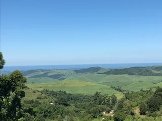 6ha farm - 3 dwellings, sugarcane plantations &amp; strong borehole