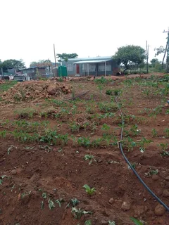 House - Ad posted by Sylvester Jecha