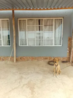 House - Ad posted by Sylvester Jecha