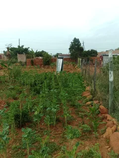 House - Ad posted by Sylvester Jecha