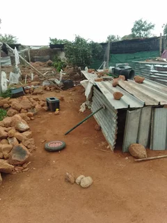 House - Ad posted by Sylvester Jecha