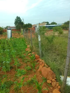 House - Ad posted by Sylvester Jecha