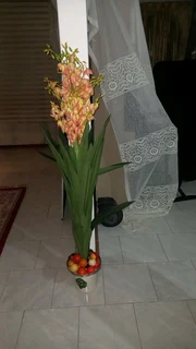 Artificial Yucca trees