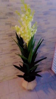 Artificial Yucca trees