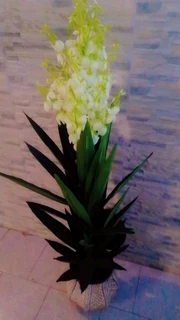 Artificial Yucca trees