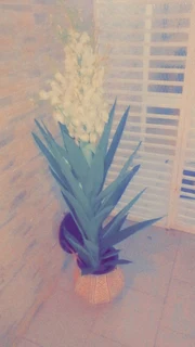 Artificial Yucca trees