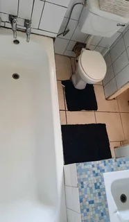 Bachelor Flat for rent in Arcadia 1 February