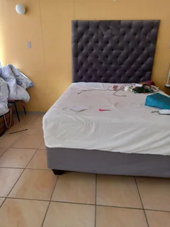 Bachelor Flat for rent in Arcadia 1 February