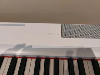 Yamaha P-125