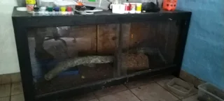 Reptile enclosure