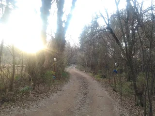 Bachelor flat for rent