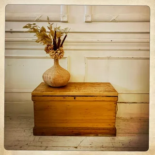 Yellow wood kist - R5200