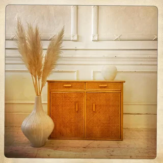 Cane cabinet - R4200