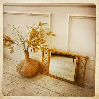 Cane mirror - R850