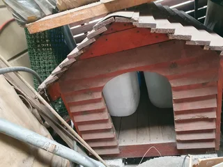 Dog kennel for adult dog