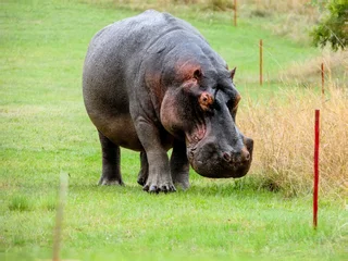 Property for sale in