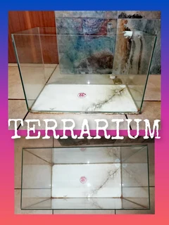 Terrarium - for keeping lizards, snakes, tarantulas, reptiles, insects, spiders or scorpions