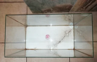 Terrarium - for keeping lizards, snakes, tarantulas, reptiles, insects, spiders or scorpions