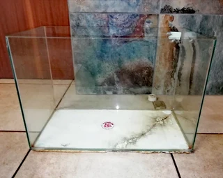 Terrarium - for keeping lizards, snakes, tarantulas, reptiles, insects, spiders or scorpions