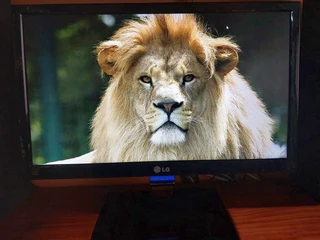 LG 19&#34; flat screen monitor 1360x768 wide screen