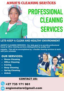 Cleaning service