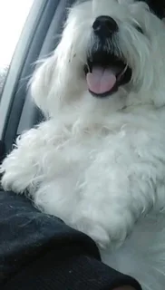 2 bedroom house/outbuilding to rent pet friendly