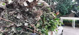 Anthony van Mini Moves,Deliveries,Junk,Rubble and Garden Refuse Removals