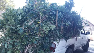 Anthony van Mini Moves,Deliveries,Junk,Rubble and Garden Refuse Removals