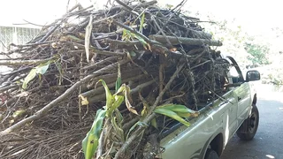 Anthony van Mini Moves,Deliveries,Junk,Rubble and Garden Refuse Removals