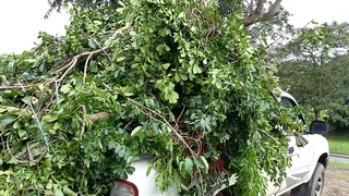 Anthony van Mini Moves,Deliveries,Junk,Rubble and Garden Refuse Removals