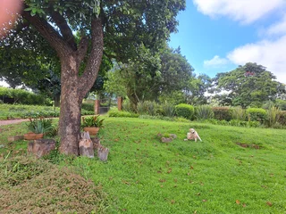 Cozy Cottage to Rent in Summerveld / Assagay