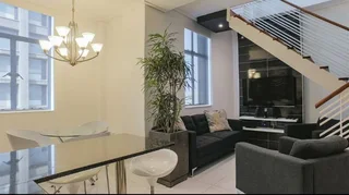 Big concrete plant pot