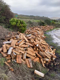 Firewood - Blue Gum - dry split pieces