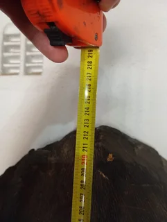 2 meter Solid Wood Hand Carved African Masks