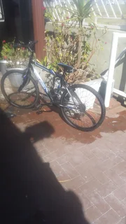 Raleigh bicycle for sale