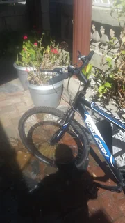Raleigh bicycle for sale