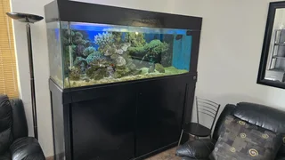 2m Marine Fish Tank for sale
