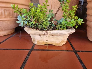 Cement pots and Pizza ovens