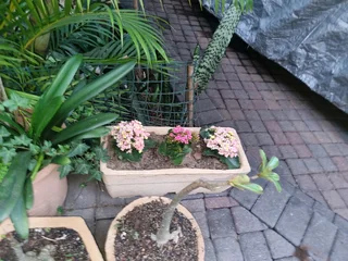 Cement pots and Pizza ovens