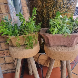 Cement pots