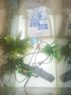 Fish Tank-(Aquarium)