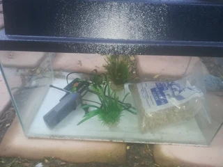 Fish Tank-(Aquarium)