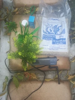 Fish Tank-(Aquarium)