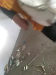 cleaning service &amp; all your cleaning needs