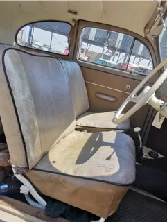 1957 Oval window beetle