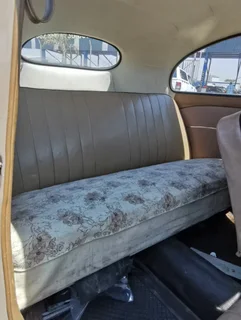 1957 Oval window beetle